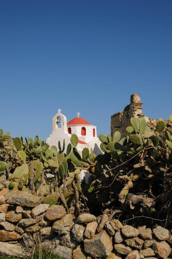ホテル Mykonos Gem Mykonos Town エクステリア 写真